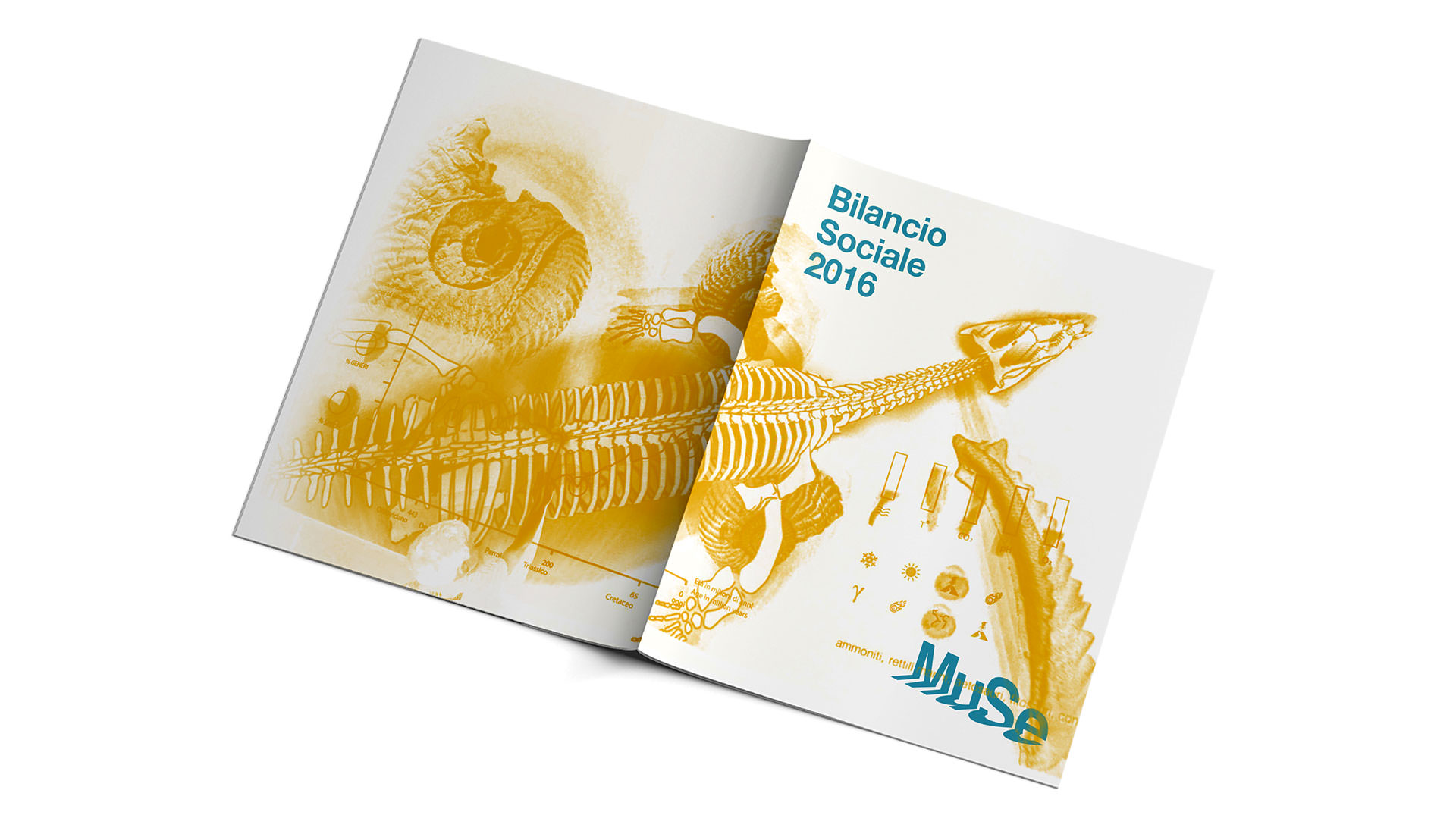 Bilancio Sociale MUSE