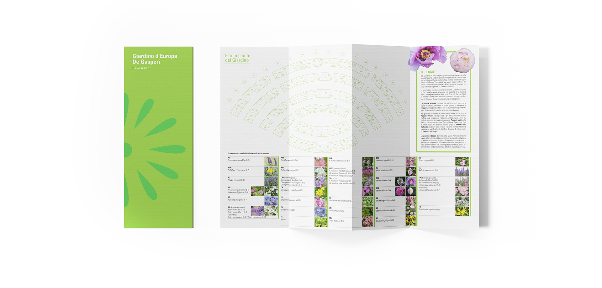 Progetto grafico Giardino d'Europa De Gasperi