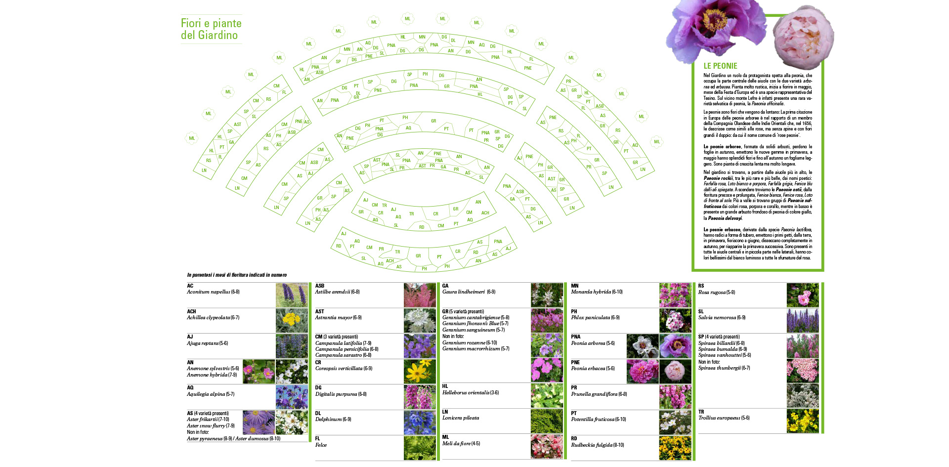Progetto grafico Giardino d'Europa De Gasperi