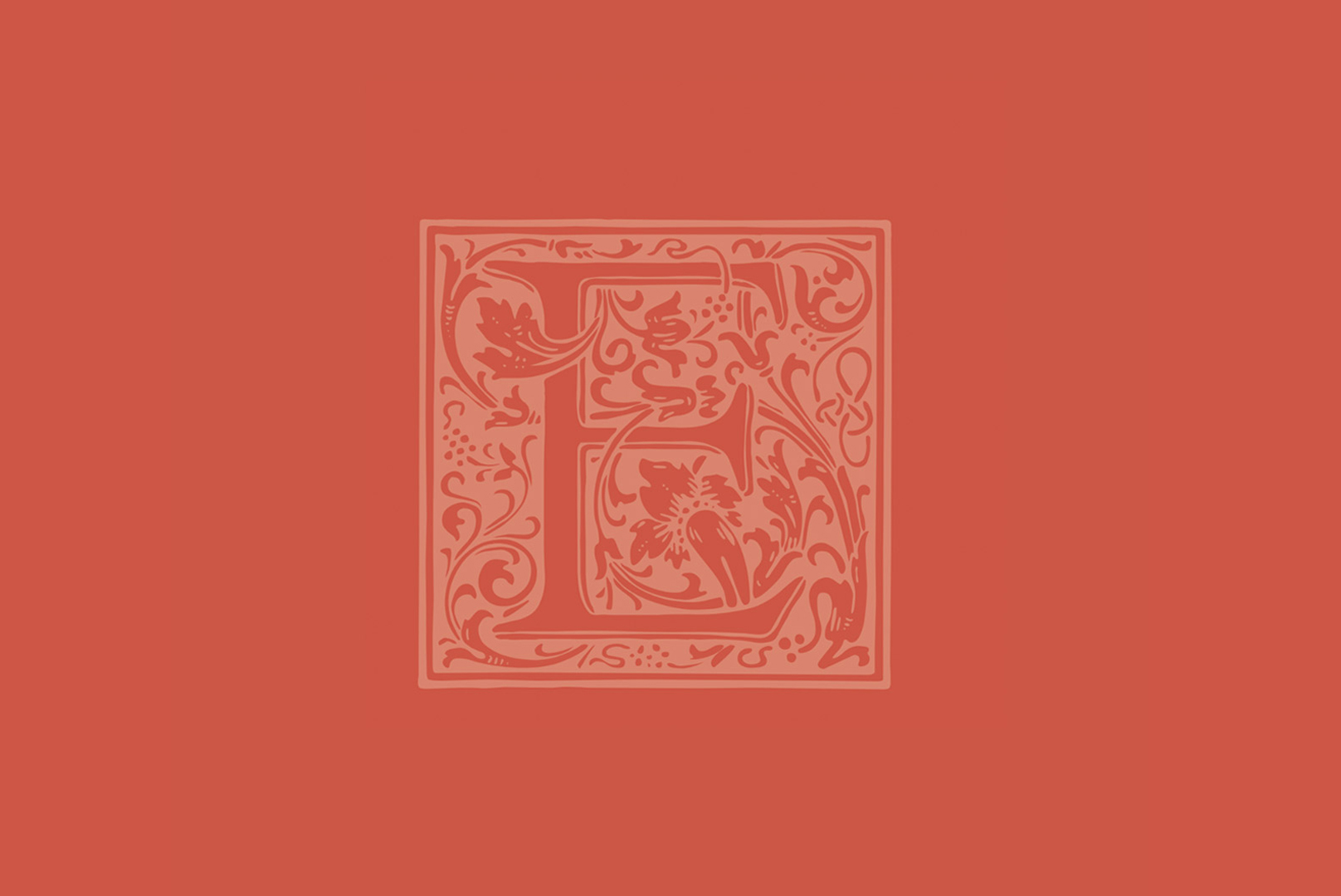 Emilia Fietta - Libro